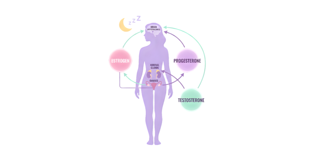 Infographic showing how estrogen, progesterone, and testosterone affect sleep during menopause.